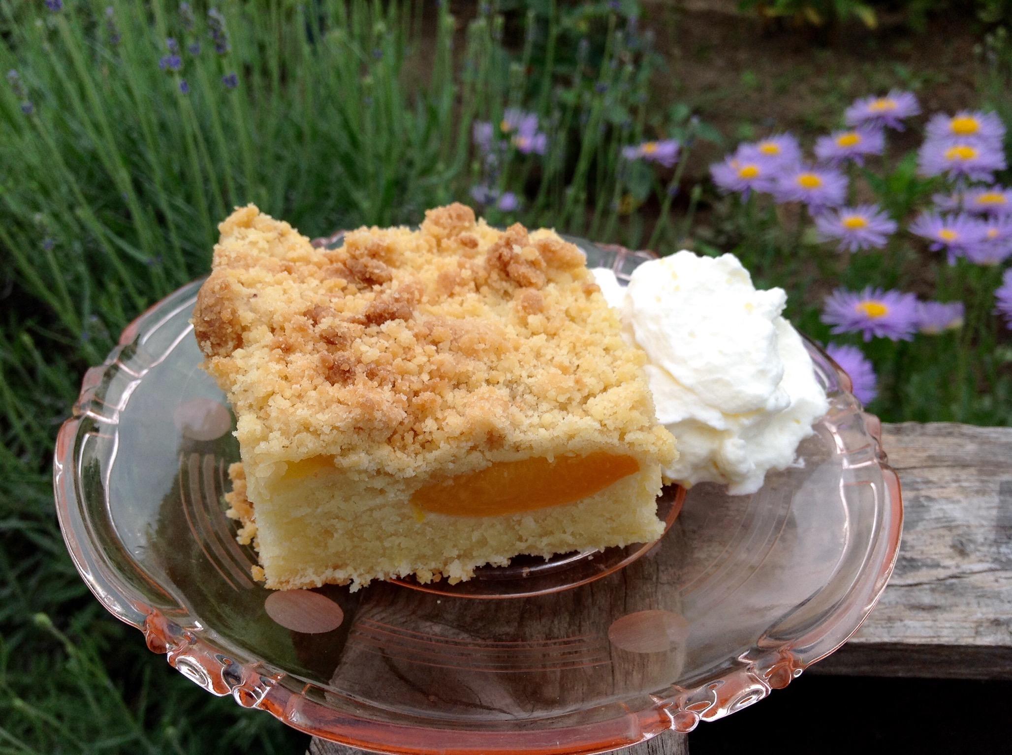 Aprikosen- Buttermilch- Kuchen